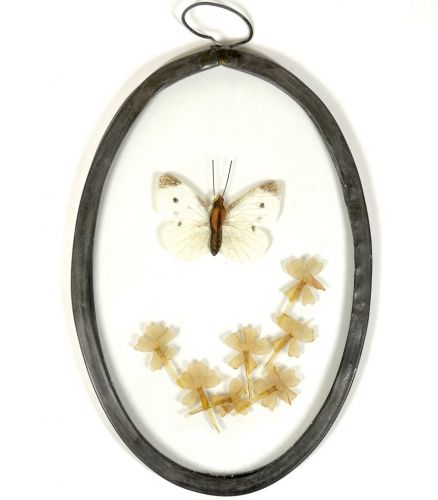 Vintage Wall Decoration Flower Butterfly Pattern Glass Uses real feathers! Width 10.5 cm Height 17.5 cm Small and can be displayed anywhere! IJS