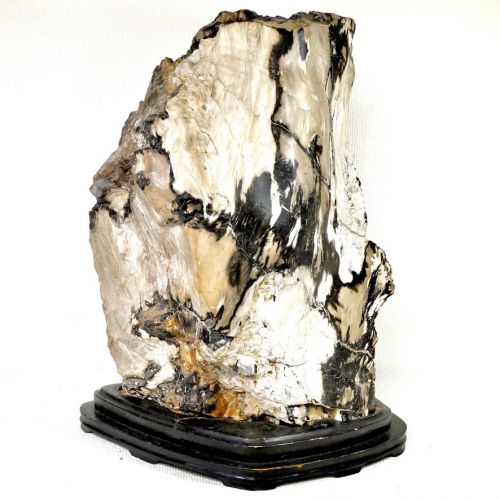 30% OFF! Petrified wood / wood fossil Object with pedestal Natural stone Suiseki Bonseki Height 38 cm Weight 16.5 kg Collector's collection A masterpiece of both size and weight HYS