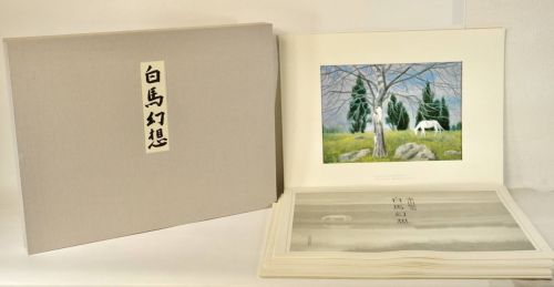Limited Edition 1990 Kaii Higashiyama Art Book "Hakuba Illusion" All 18 Figures Nihon Keizai Shimbun Inc. Scenery with a fantastic view of a white horse from early spring to winter Good Condition KYS