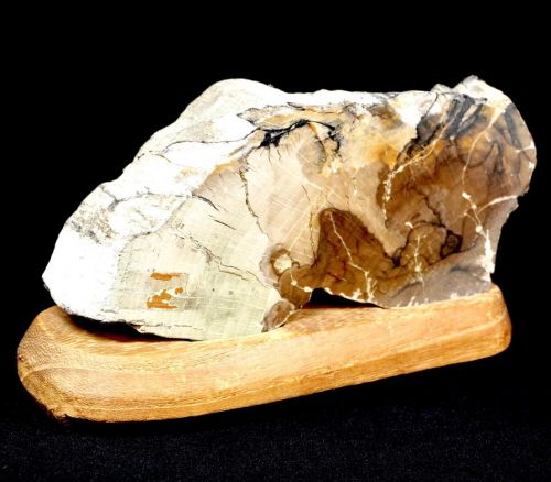 50% off! Hokkaido petrified wood/fossil wood object slice cut with pedestal natural stone suiseki bonseki total length 14cm weight 416g collector's collection HYS