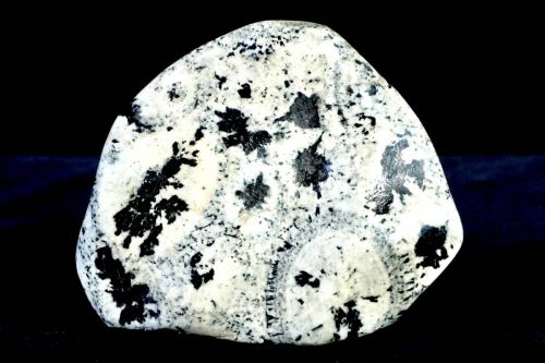 Special sale price! Valuable! Ornamental polished stone Kikumen stone Clock stone Spherical diorite Napoleon stone Mineral The pattern is beautiful! W15×D8×H2 1.66kg HKE