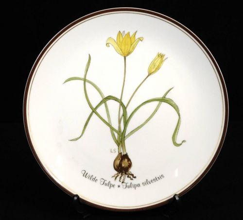 1978 German Rosenthal Rosenthal Classic Rose Collection Wilde Tulpe Plaque Wall Plate Diameter 21cm Wall Hanging TSM