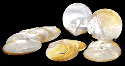 50％OFF！　ビンテージ　フィリピン製　シェルプレート　12枚セット　貝細工　天然貝　直径18㎝前後 煌びやかでとても美しい貝皿！　HKT