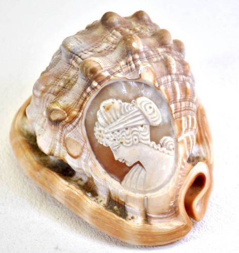 30% OFF! Cornelian Shell Cameo Shell Carving Cameo Object Greek Mythological Motif Width 8cm X Depth 11cm X Height 6cm Beautiful gem! HNK